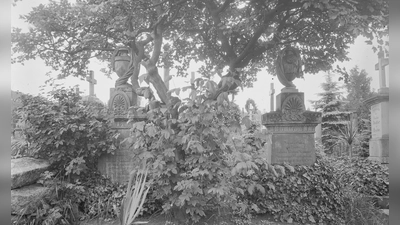 Dicht bewachsen ist der Stadtfriedhof in den 1920er Jahren, als diese Fotografie entstand. Die Zeitung berichtet von Kindern, die einst auf dem Gräberfeld tröstende „Auferstehungslieder“ sangen. (Repro: Alexander Biernoth)