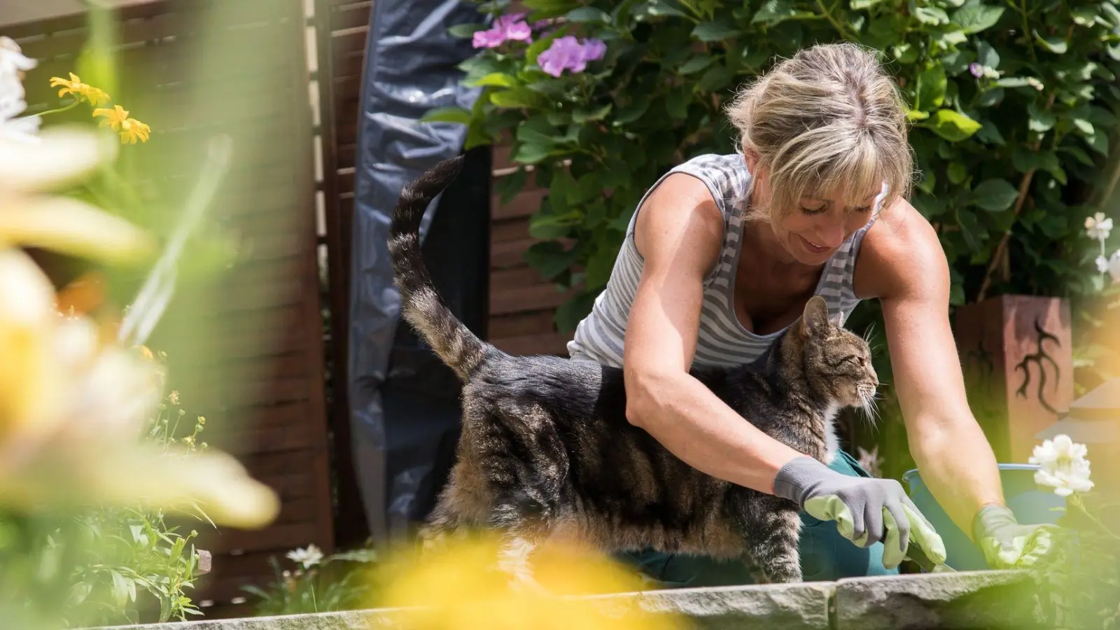 Kampf gegen Grünbelag und Wildwuchs: Mit effektiven Hausumitteln kann die Reinigung von Terrassen und Gartenwegen leicht gelingen. (Foto: Christin Klose/dpa-tmn/dpa)